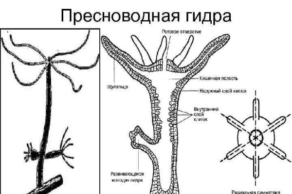 Ссылки в тор